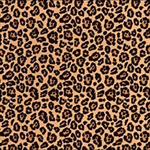 Meet your Posher, Jen